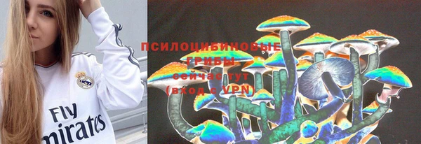 первитин Вяземский